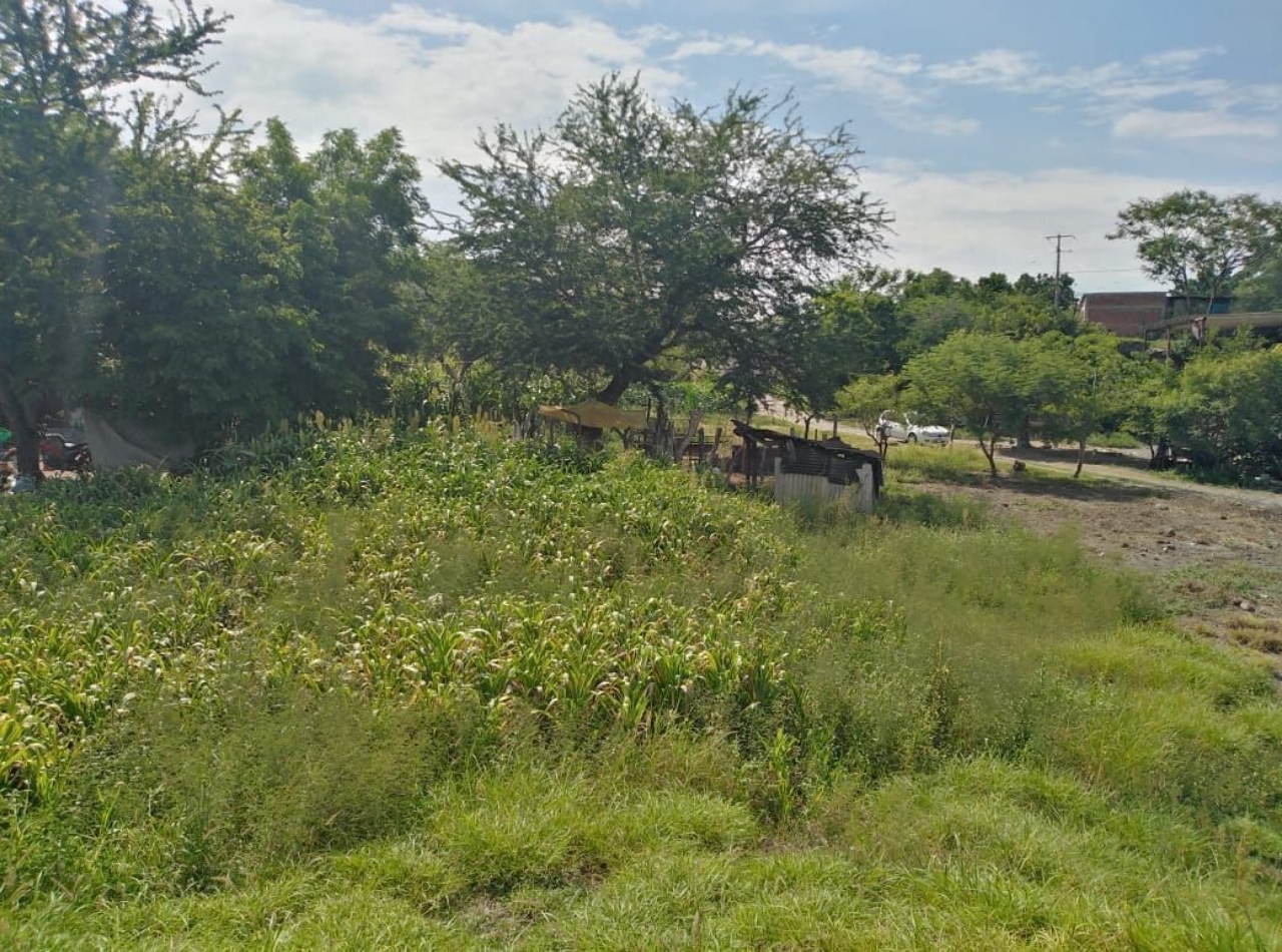 Venta de terreno en Jojutla Morelos 